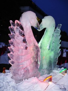 dsc00639