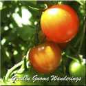 Come wander through my gardens.  All gardening topics are discussed.
